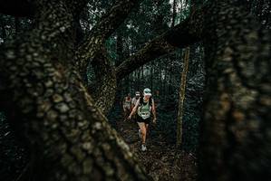 BIB: 
                            <button type="button" onclick="openModal(25680758)" class="btn btn-primary btn-sm float-right btn-popup" data-toggle="modal" data-target=".modal-high-quality">
                        <i class="fas fa-shopping-cart"></i> Add to Cart
                    </button>
                                            <button type="button" onclick="isThisMe(25680758, true)" class="btn btn-success btn-sm float-right btn-popup btn-isme hidden" data-toggle="tooltip" data-placement="bottom" title="นี่คือรูปของคุณใช่ไหม คลิกที่นี่เพื่อเอาเข้าอัลบั้ม">
                        <i class="fas fa-plus"></i> Add to album
                    </button>
                    <button type="button" onclick="isThisMe(25680758, false)" class="btn btn-warning btn-sm float-right btn-popup btn-isnotme hidden">
                        <i class="fas fa-ban"></i> Remove from album
                    </button>